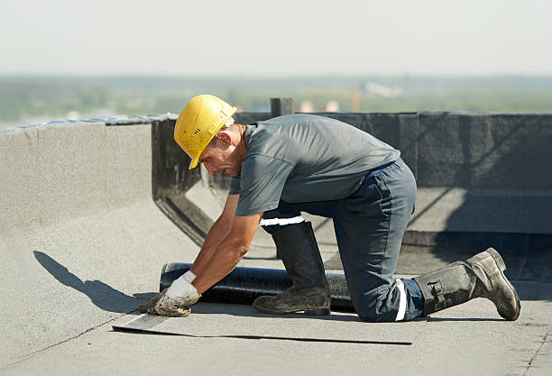 Best Residential Insulation in Winnsboro, TX
